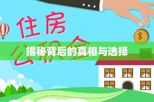 空港揭秘背后的真相与选择