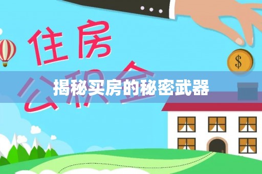 空港揭秘买房的秘密武器