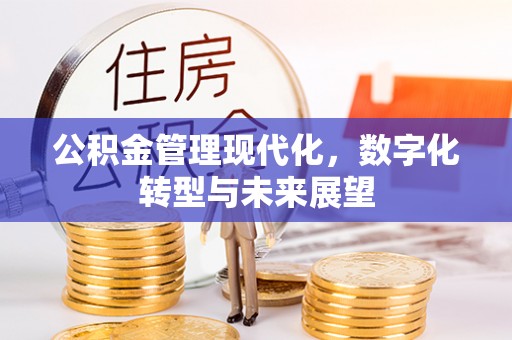 空港公积金管理现代化，数字化转型与未来展望