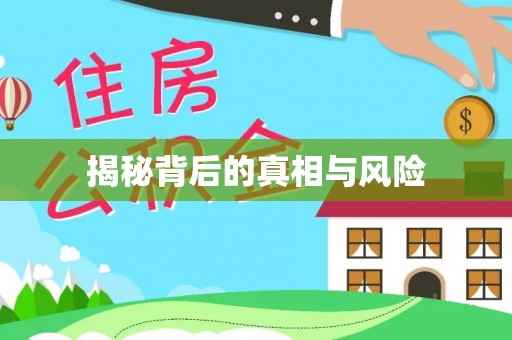 空港揭秘背后的真相与风险