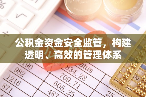 空港公积金资金安全监管，构建透明、高效的管理体系