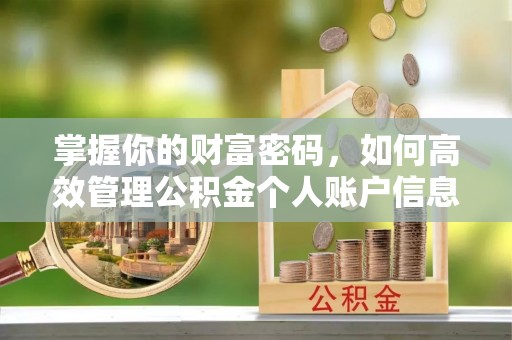 空港掌握你的财富密码，如何高效管理公积金个人账户信息