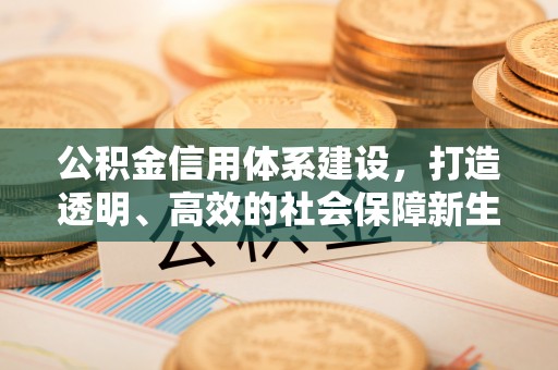 空港公积金信用体系建设，打造透明、高效的社会保障新生态