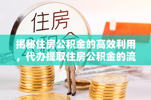 空港揭秘住房公积金的高效利用，代办提取住房公积金的流程与技巧