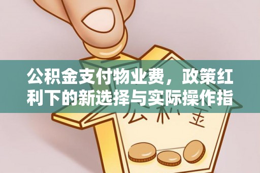 空港公积金支付物业费，政策红利下的新选择与实际操作指南