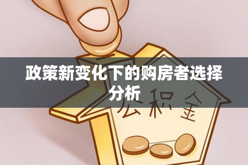 空港政策新变化下的购房者选择分析