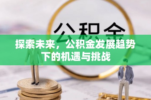 空港探索未来，公积金发展趋势下的机遇与挑战