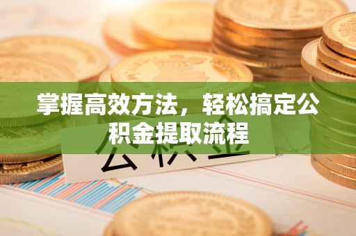 空港掌握高效方法，轻松搞定公积金提取流程