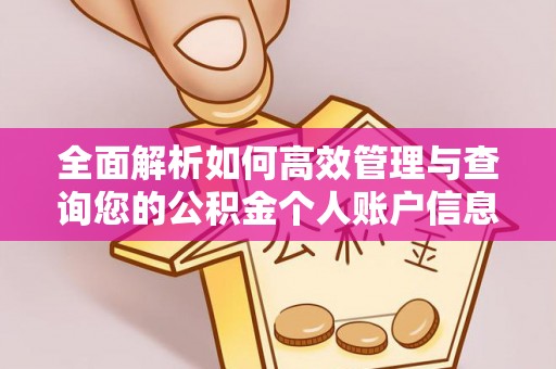 空港全面解析如何高效管理与查询您的公积金个人账户信息