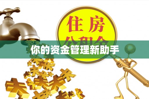 空港你的资金管理新助手