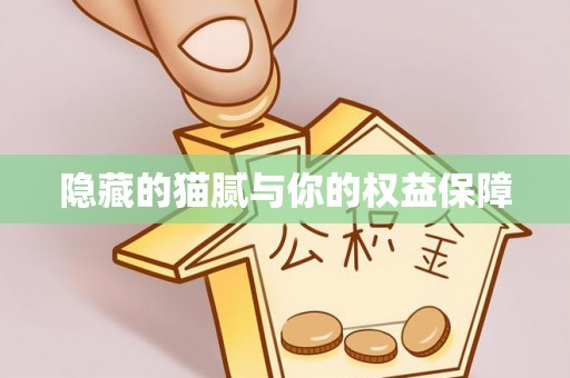 空港隐藏的猫腻与你的权益保障