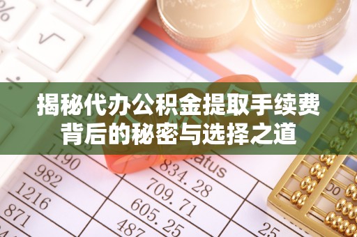 空港揭秘代办公积金提取手续费背后的秘密与选择之道