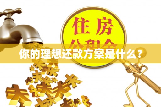 空港你的理想还款方案是什么？