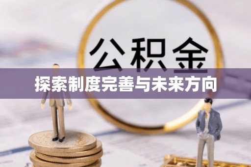 空港探索制度完善与未来方向