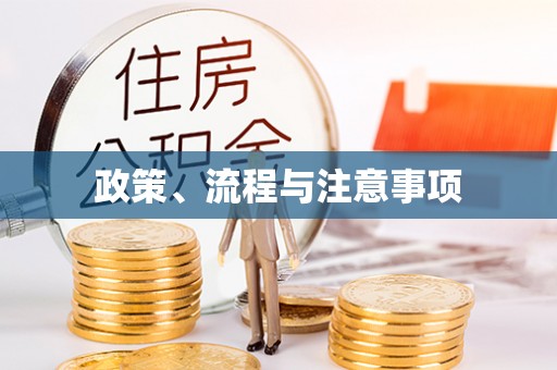 空港政策、流程与注意事项