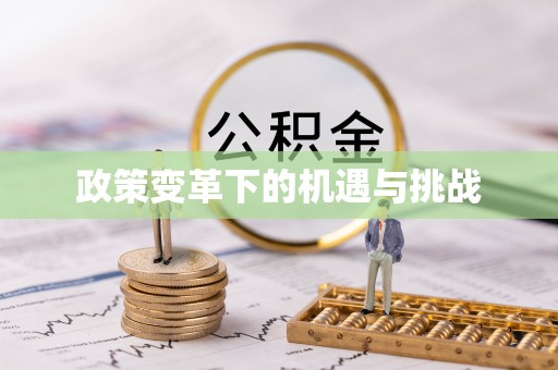 空港政策变革下的机遇与挑战