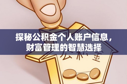 空港探秘公积金个人账户信息，财富管理的智慧选择