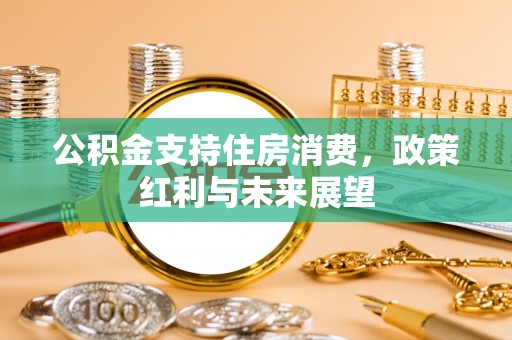 空港公积金支持住房消费，政策红利与未来展望
