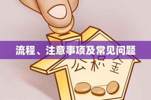空港流程、注意事项及常见问题