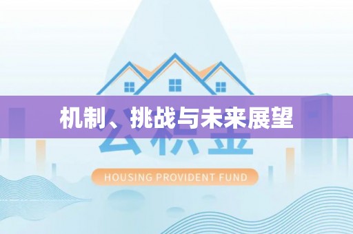 空港机制、挑战与未来展望